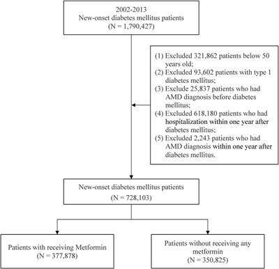Dose-response association of metformin use and risk of age-related macular degeneration among patients with type 2 diabetes mellitus: a population-based study